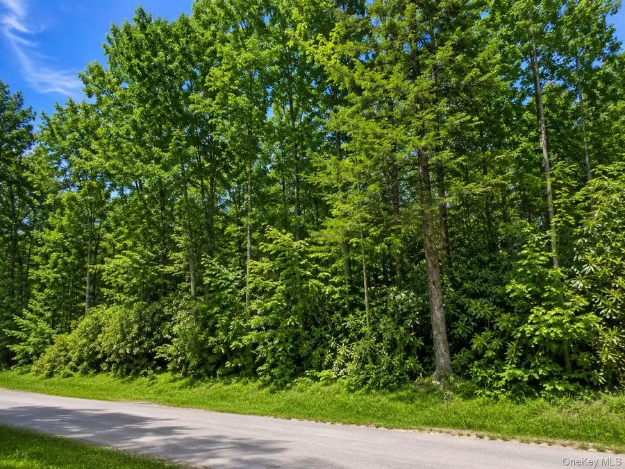 Benton Hollow Road, Neversink, NY 12765 - #2