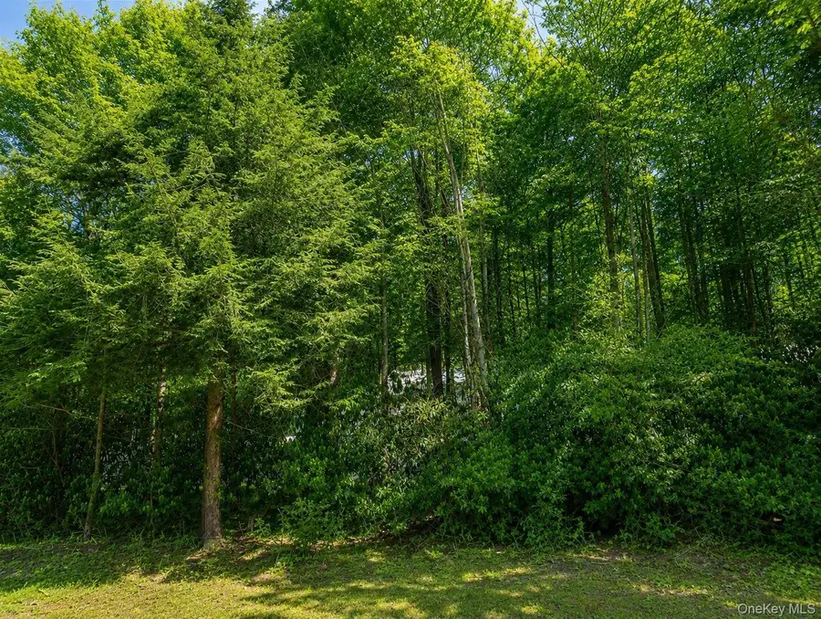 Benton Hollow Road, Neversink, NY 12765 - #3