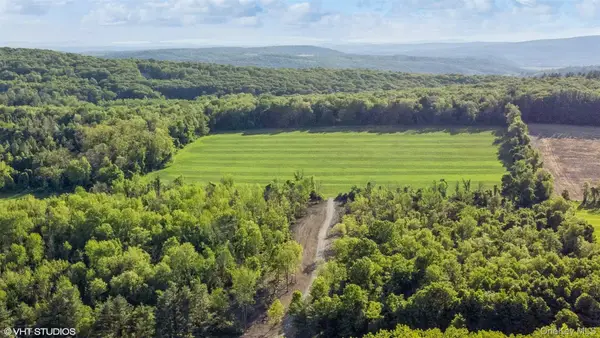 Skunks Misery Lot 1 Road, Millerton, NY 12546