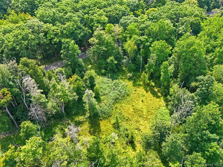 Oak Ridge Road, Ellenville, NY 12428 - #2