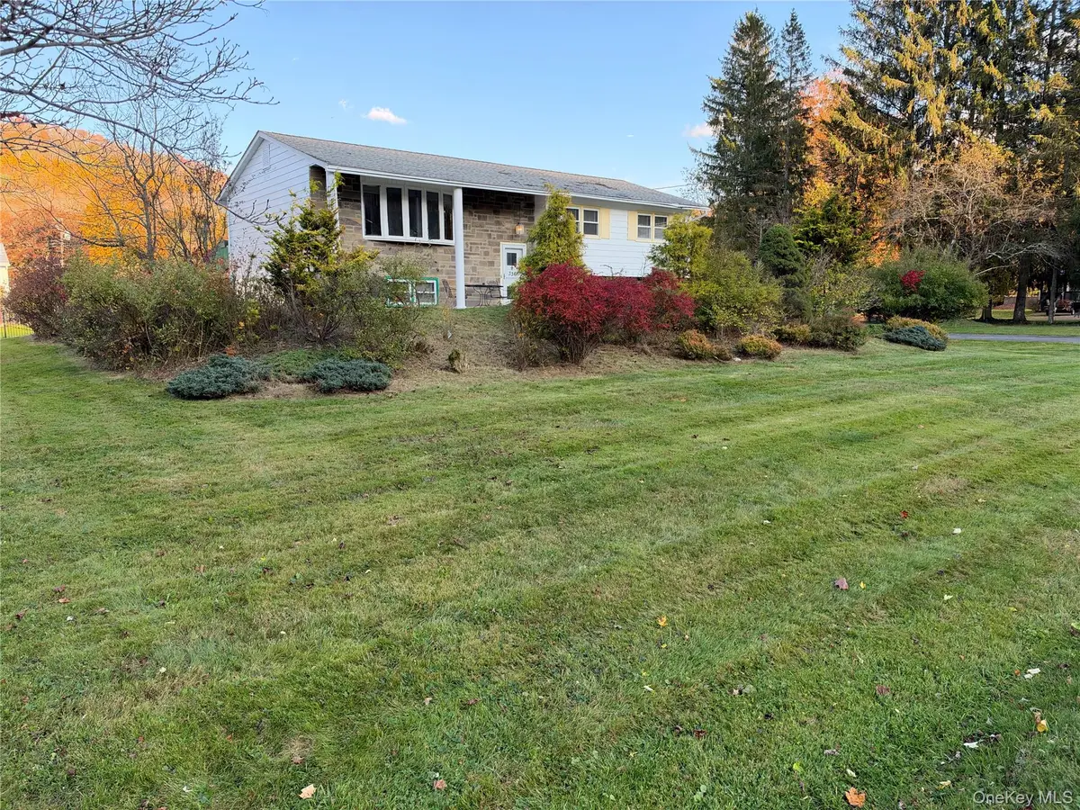 336 Old Route 17, Livingston Manor, NY 12758 - #1