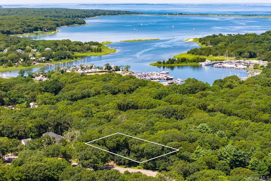 21 & 23 Abraham's Path (also Called Pavilion Place) Path, East Hampton, NY 11937 - #3