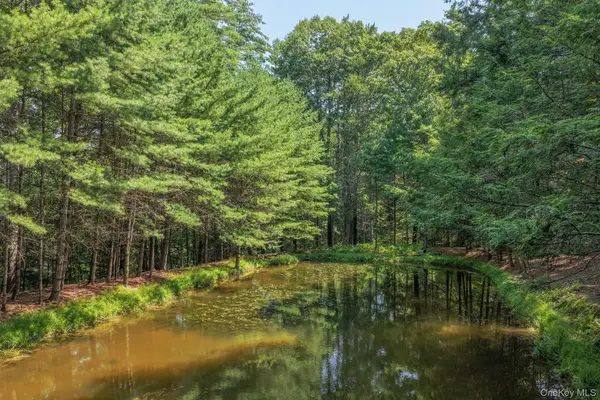 Lot 55.1 Swanerbury Road, Glen Spey, NY 12737