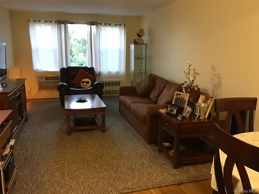 6 Birchwood Court #4B, Mineola, NY 11501 - #3