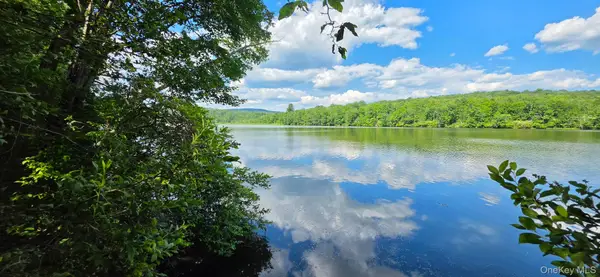 Shore Rd, Swan Lake, NY 12783