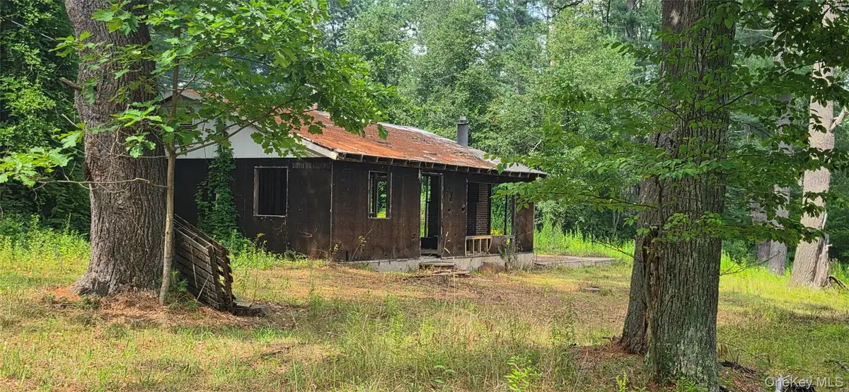 6010 State Route 97, Narrowsburg, NY 12764 - #1