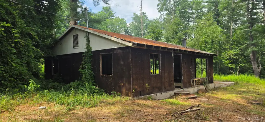 6010 State Route 97, Narrowsburg, NY 12764 - #2
