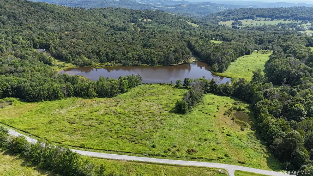 Waterfront Lot 15 Meadow Lane, Fremont Center, NY 12736 - #1