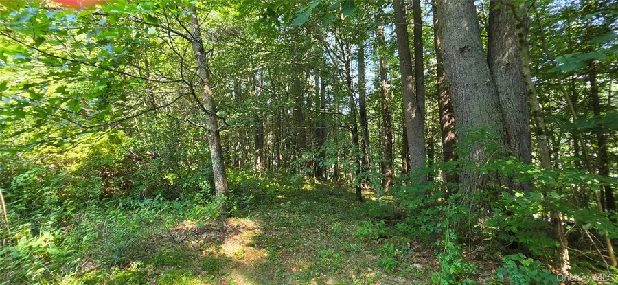 Lot 6 Nys 52, Narrowsburg, NY 12764 - #2