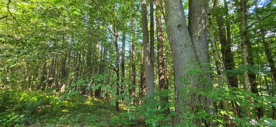 Lot 6 Nys 52, Narrowsburg, NY 12764 - #3