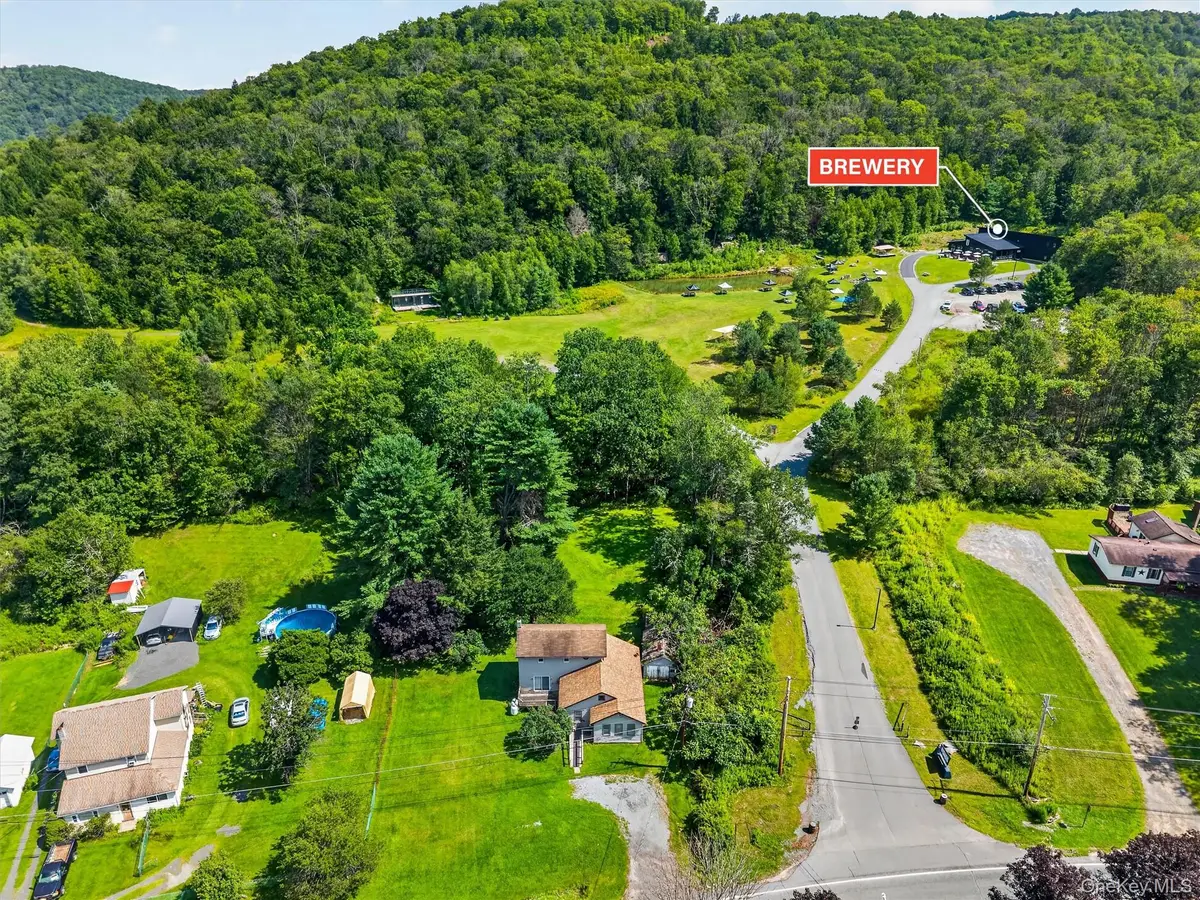 169 Main Street, Livingston Manor, NY 12758 - #1