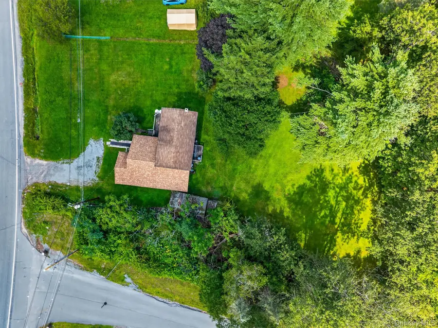 169 Main Street, Livingston Manor, NY 12758 - #2
