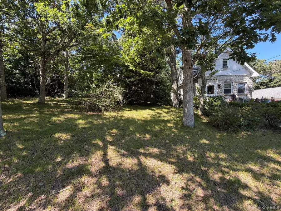 164 S Evergreen Drive, Selden, NY 11784 - #3