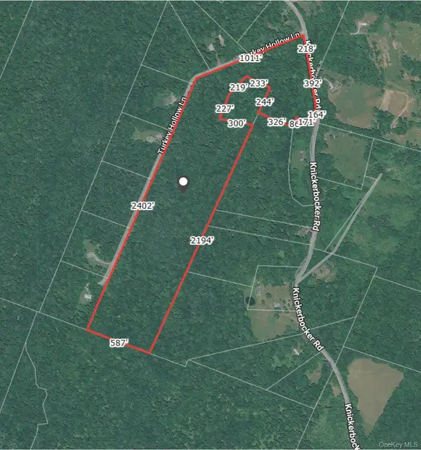 Knickerbocker Road, Livingston Manor, NY 12758