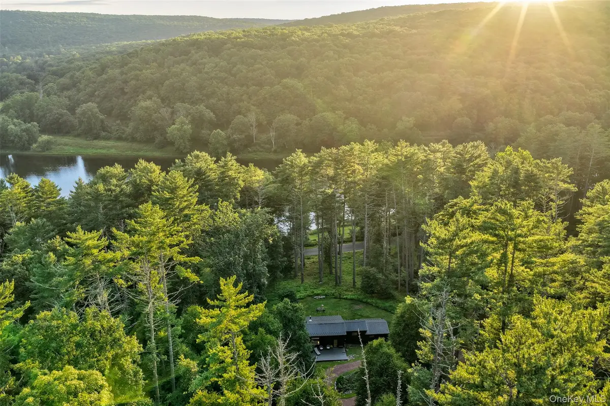 151 Hankins Road, Narrowsburg, NY 12764 - #1