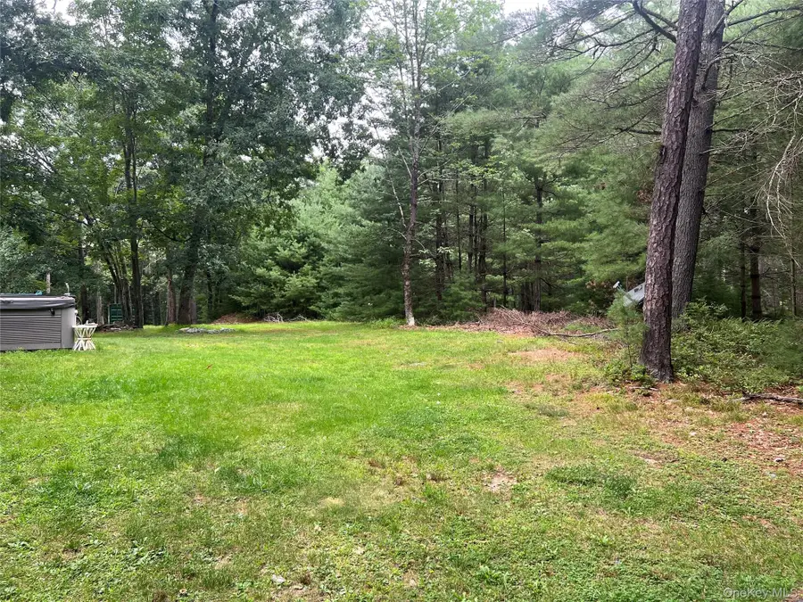 24 Frazier Road, Eldred, NY 12732 - #2