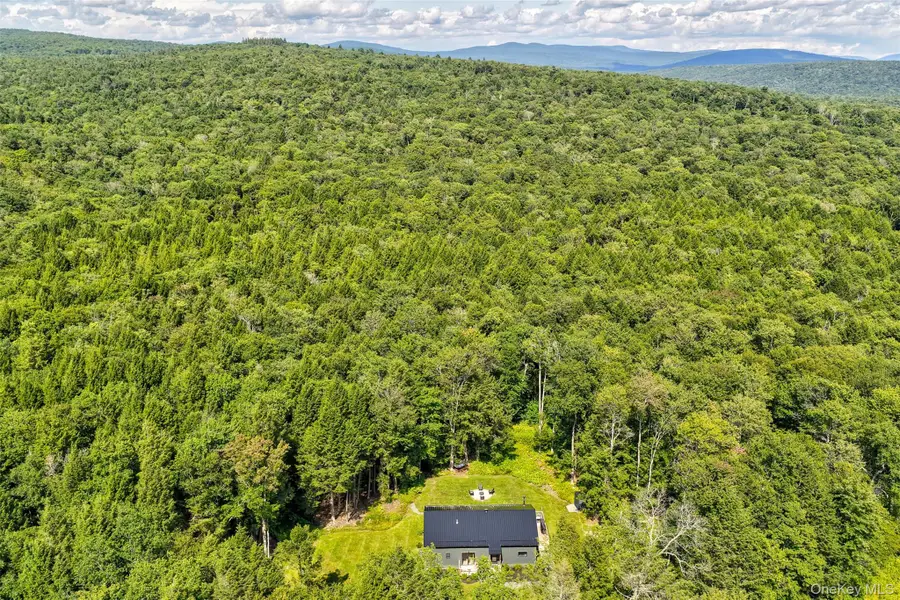 633 Brown Settlement Road, Livingston Manor, NY 12758 - #2