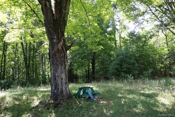 Peeble Lane, Wurtsboro, NY 12790