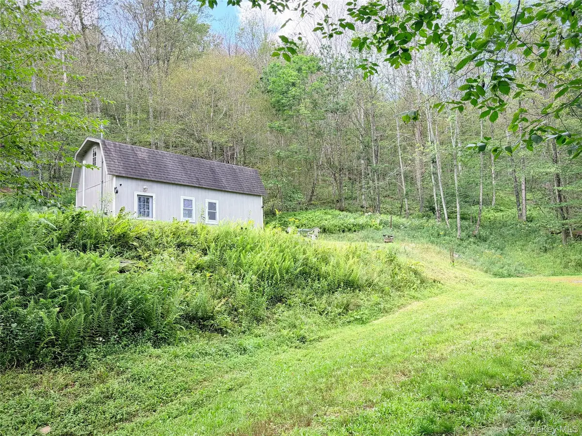494 Doyle Road, Roscoe, NY 12776 - #1