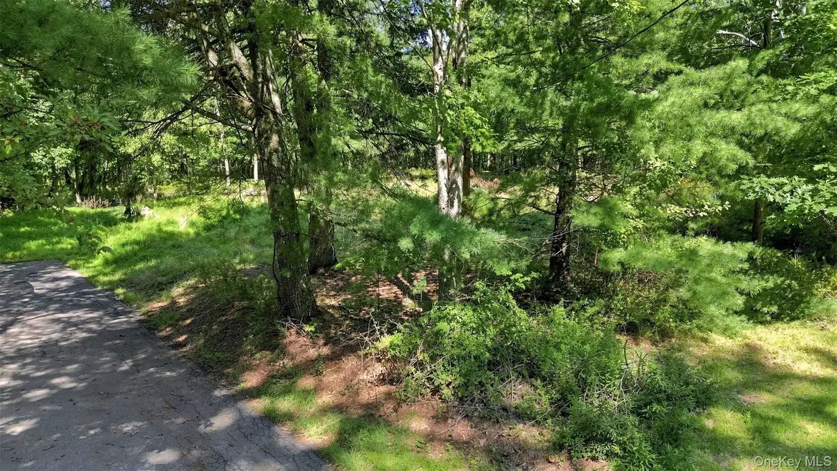 36 Spruce Street W, Wurtsboro, NY 12790 - #1