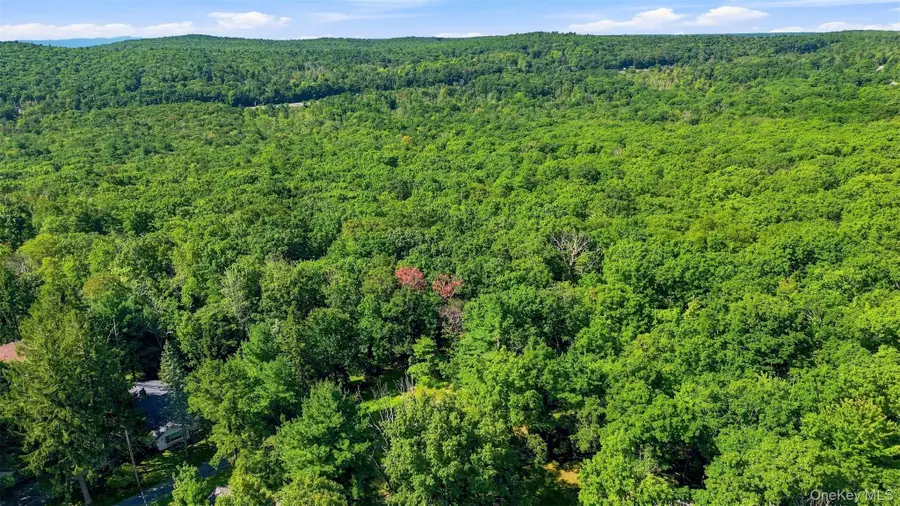 36 Spruce Street W, Wurtsboro, NY 12790 - #3