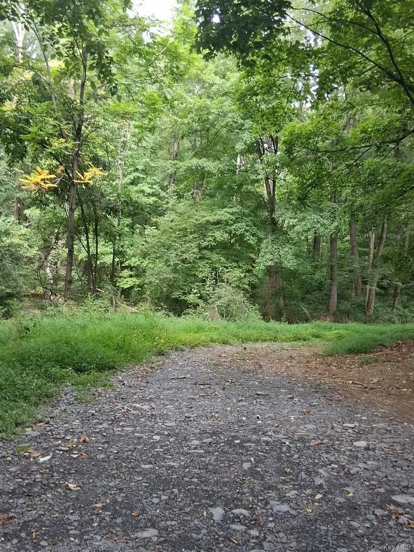 Museum Village Road, Blooming Grove, NY 10914 - #2