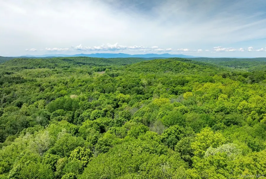 00 Route 7, Copake, NY 12516 - #3