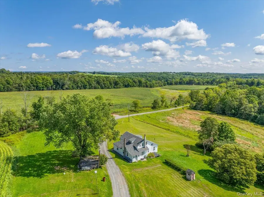 21 Hans Fischer Road, Cochecton, NY 12726 - #2