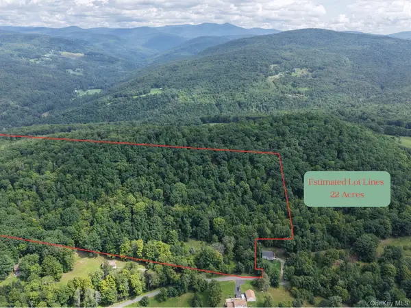 Twinshaven Road, Grahamsville, NY 12765