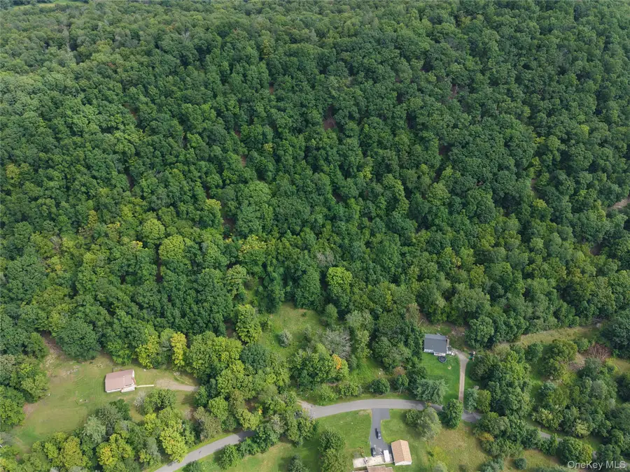 Twinshaven Road, Neversink, NY 12765 - #3