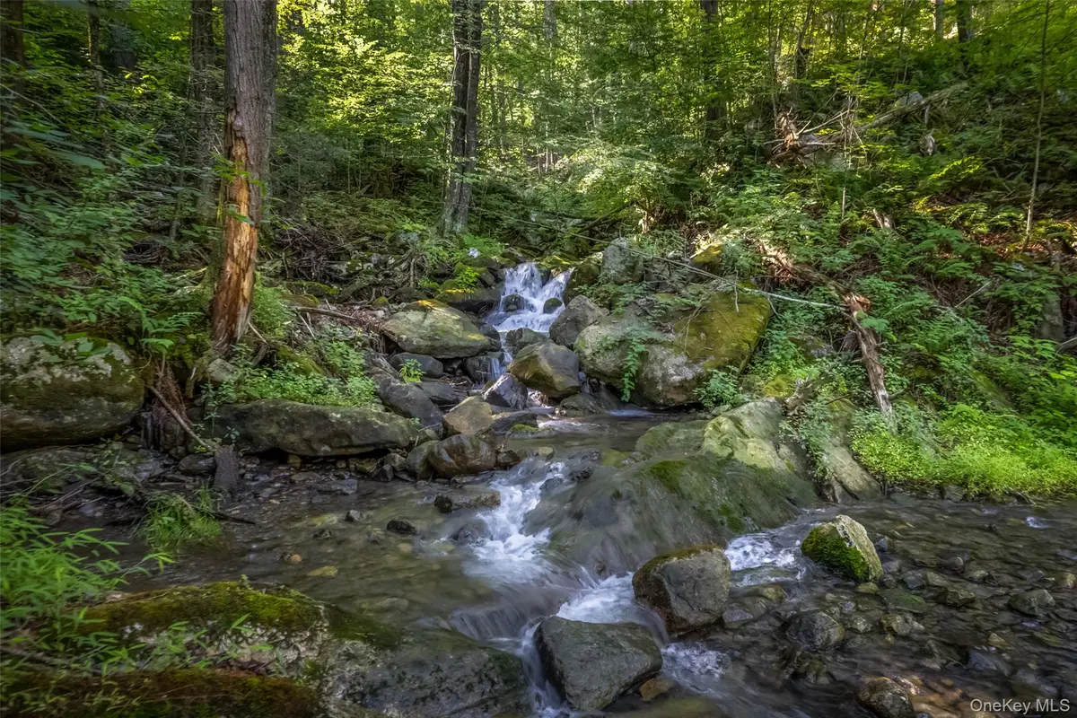 Old Plank Road, Cragsmoor, NY 12420 - #1