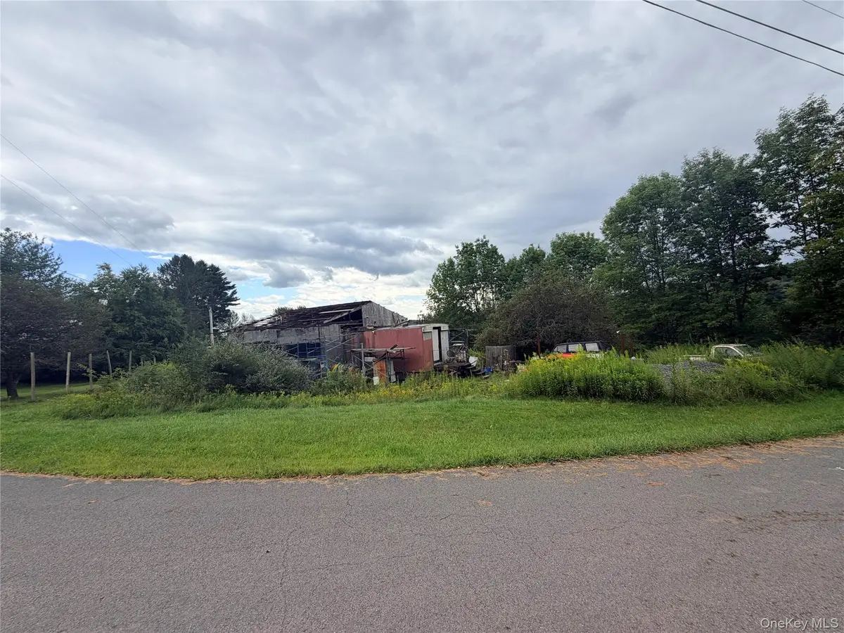 32 Conroy Road, Callicoon, NY 12723 - #1