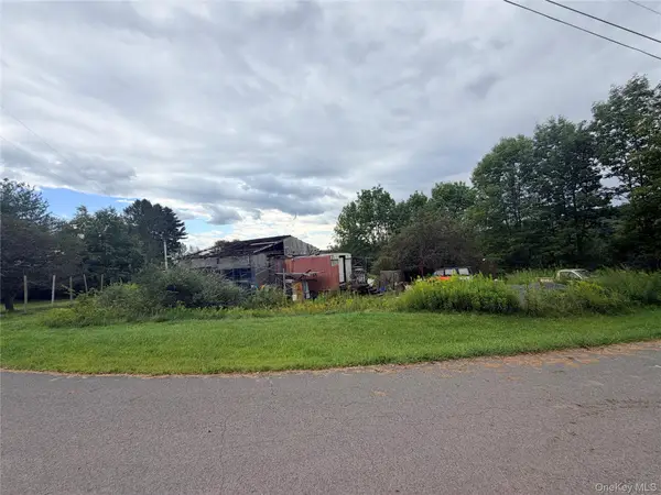 32 Conroy Road, Callicoon, NY 12723