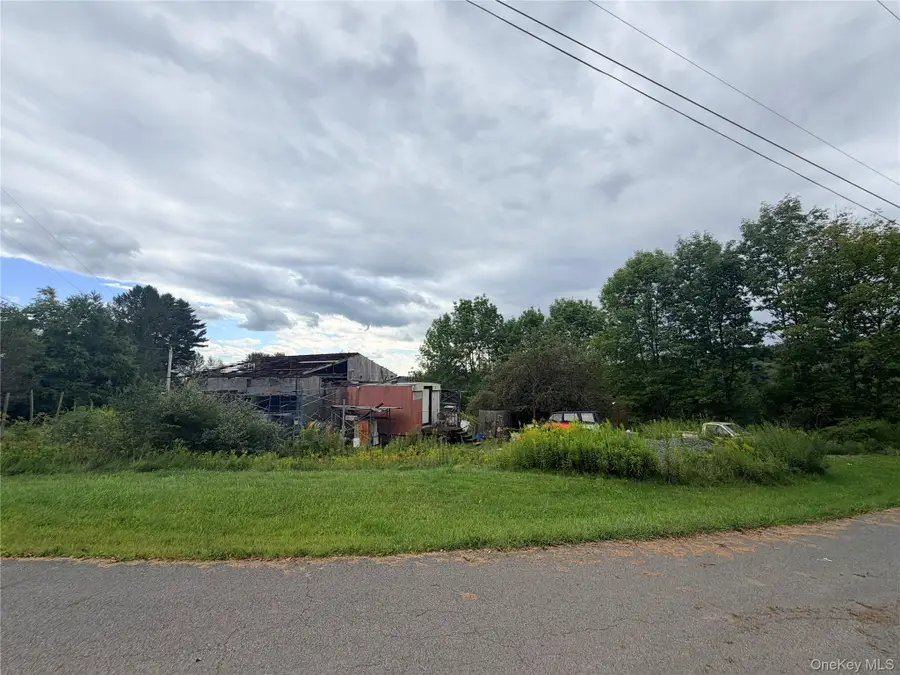 32 Conroy Road, Callicoon, NY 12723 - #2