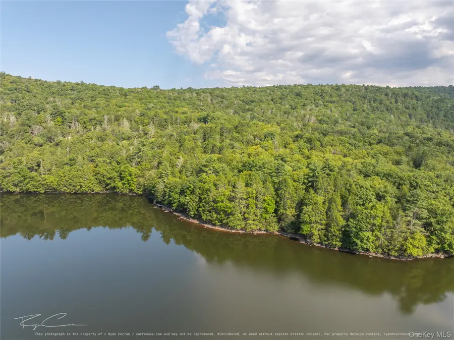 Old Plank Road, Forestburgh, NY 12777 - #2