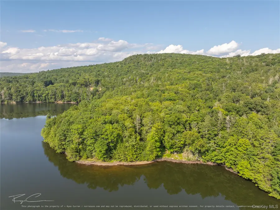 Old Plank Road, Forestburgh, NY 12777 - #3