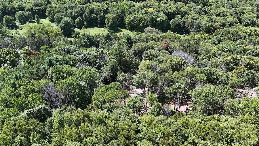 Hammer Road, Fremont Center, NY 12736 - #2