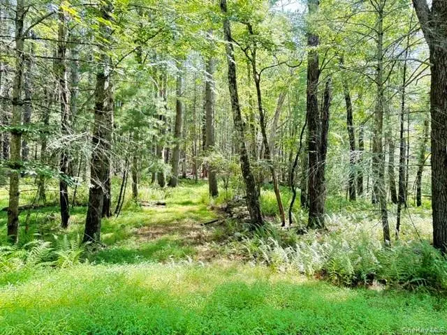 Lot 3.18 Fish Cabin Road, Glen Spey, NY 12737 - #1