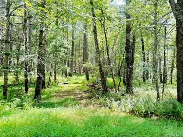 Lot 3.18 Fish Cabin Road, Glen Spey, NY 12737