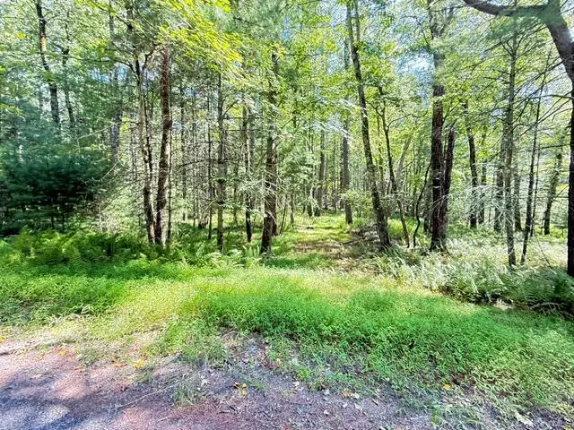 Lot 3.18 Fish Cabin Road, Glen Spey, NY 12737 - #2
