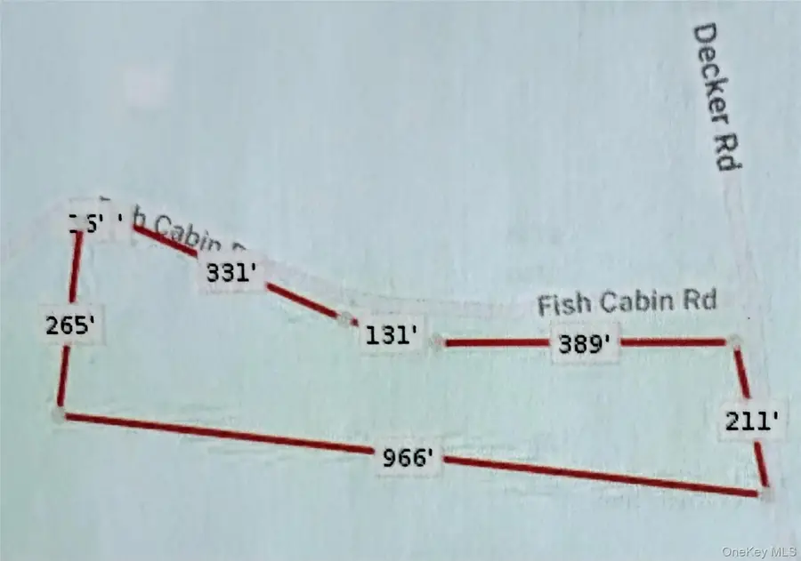 Lot 3.18 Fish Cabin Road, Glen Spey, NY 12737 - #3