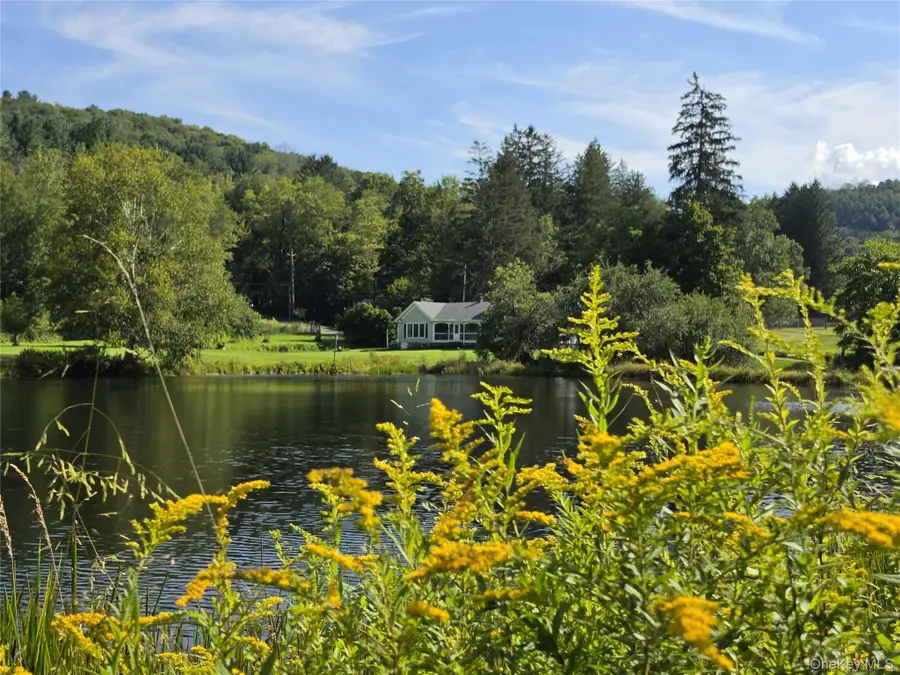 600 Jeffersonville North Branch Road, North Branch, NY 12766 - #2