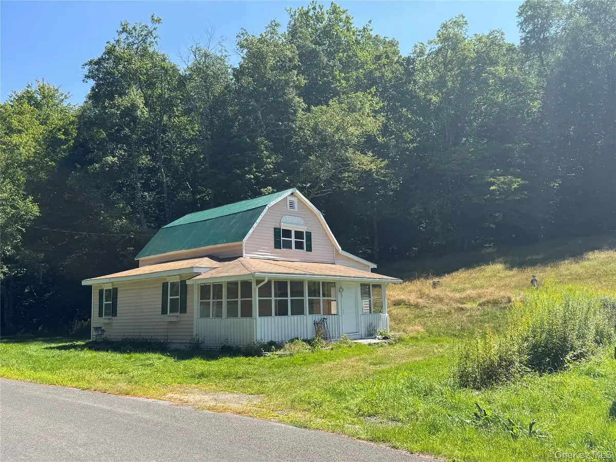 31 Willowemoc Road, Livingston Manor, NY 12758 - #1
