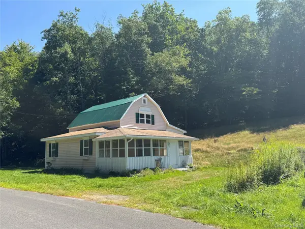 31 Willowemoc Road, Livingston Manor, NY 12758