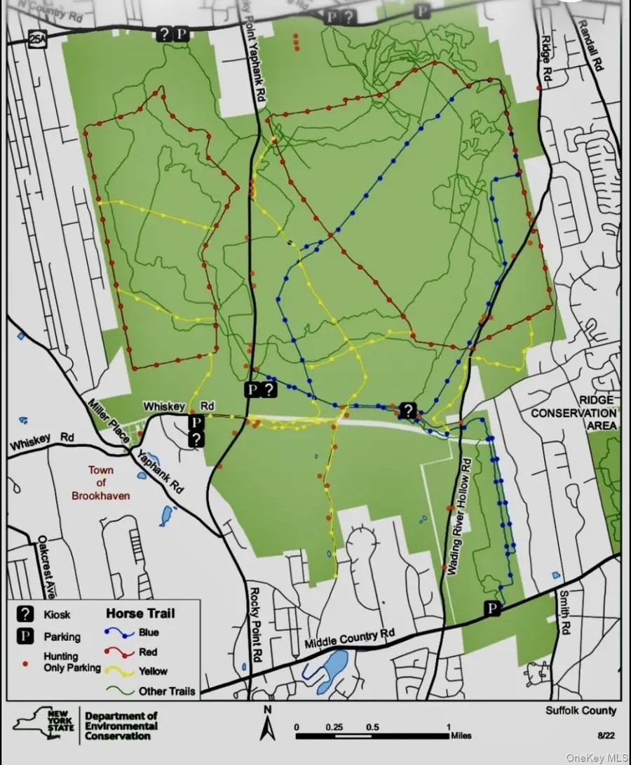 Woodlot Road, Ridge, NY 11961 - #3