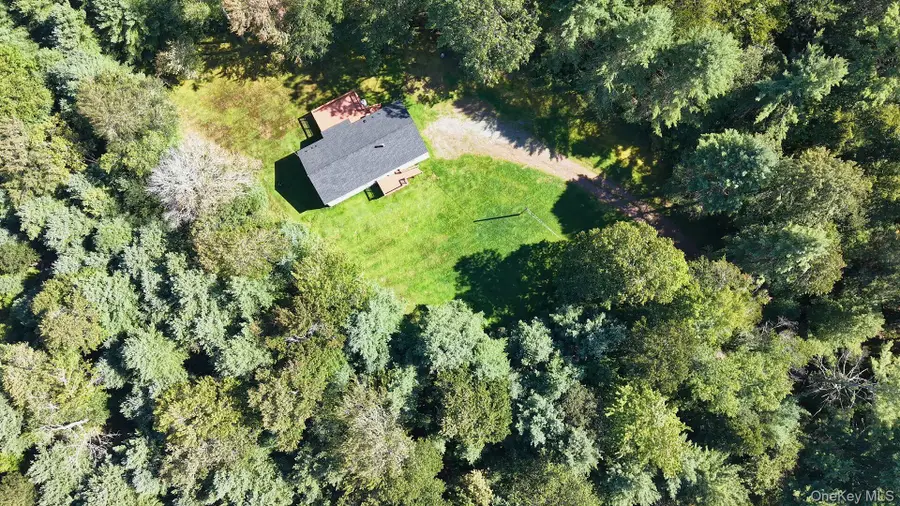227 Rod And Gun Club Road, Forestburgh, NY 12777 - #3