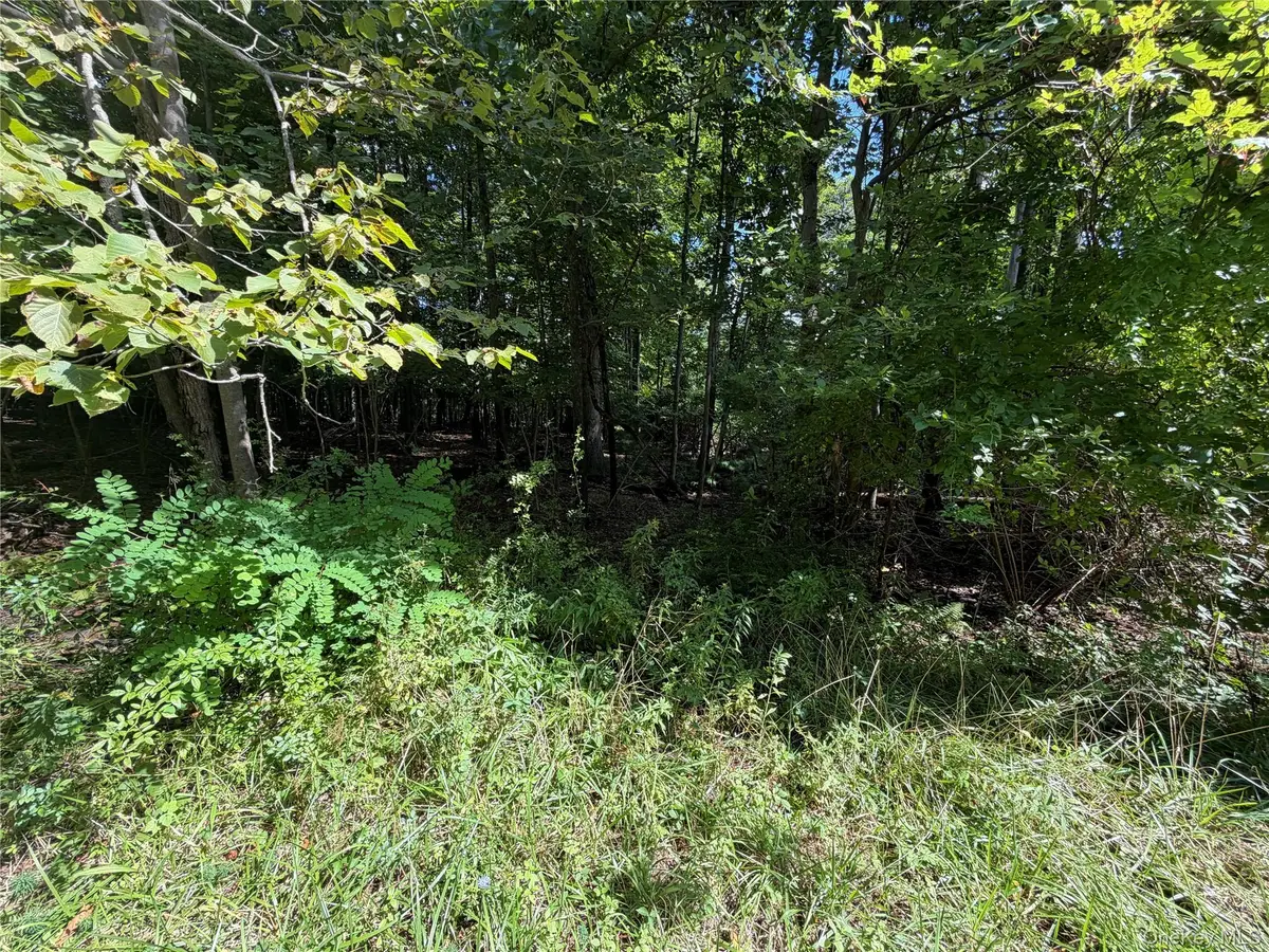 Lot 20.1 Mt Prosper Road, Wurtsboro, NY 12790 - #1