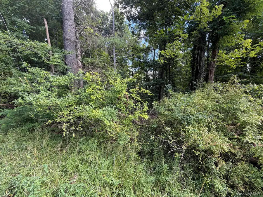 Lot 20.1 Mt Prosper Road, Wurtsboro, NY 12790 - #3