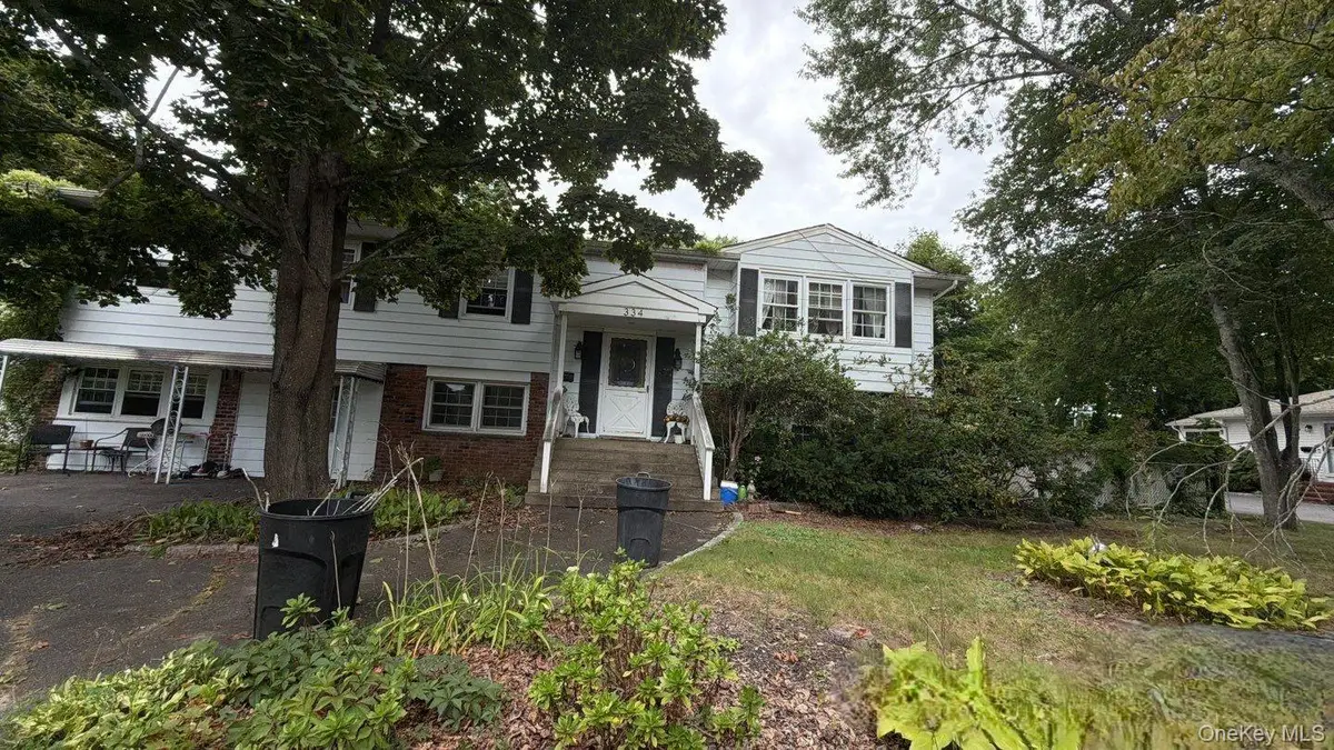 334 Sunrise Avenue, Sayville, NY 11782 - #1