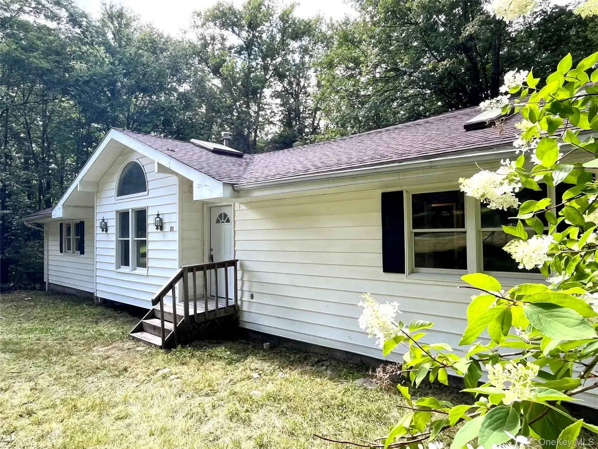 21 Browns Road, Livingston Manor, NY 12758 - #1